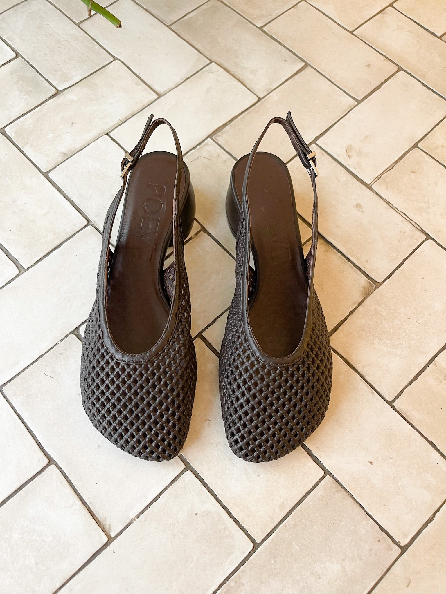 Zapato Antila