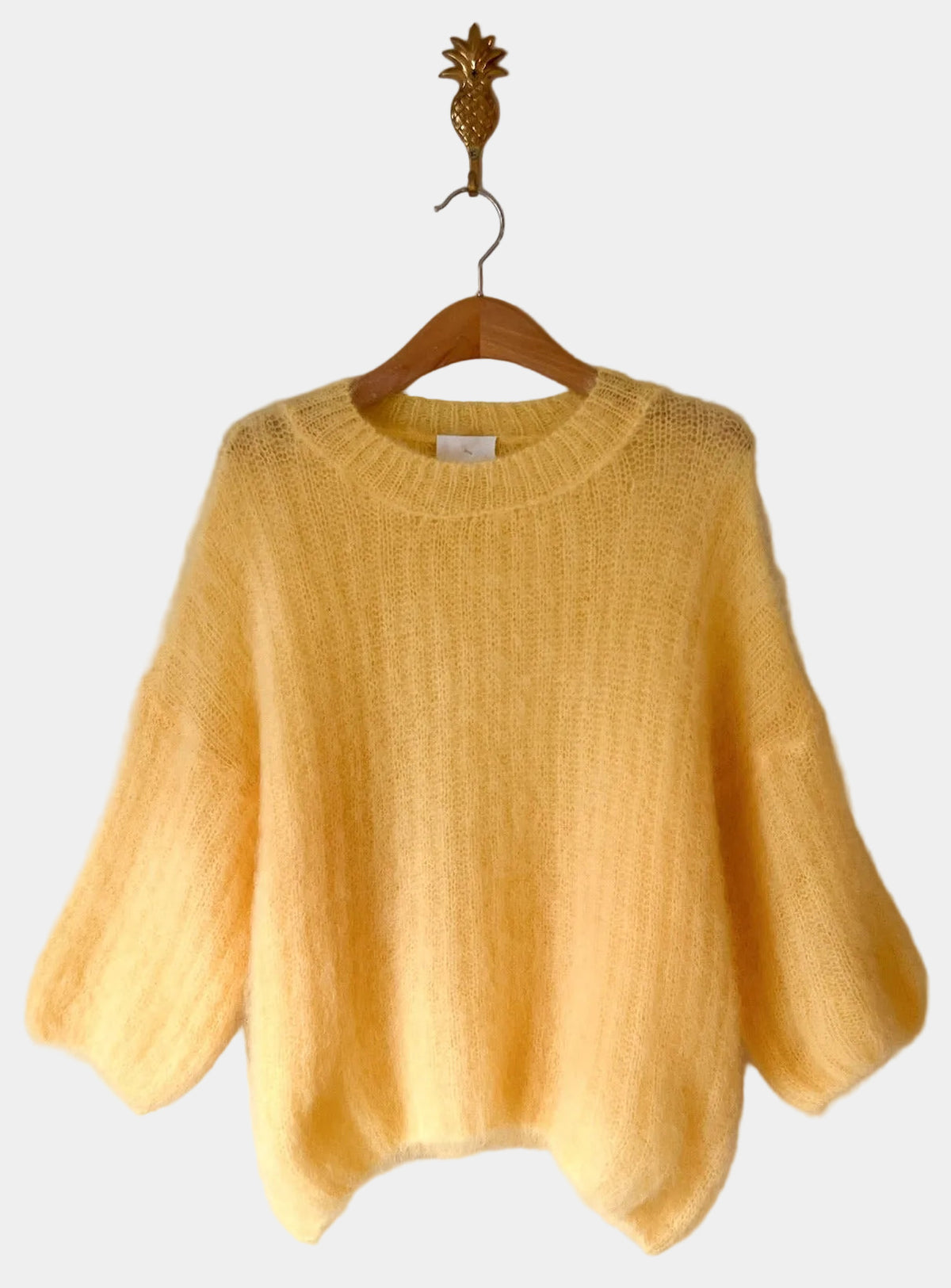 Jersey Mimosa