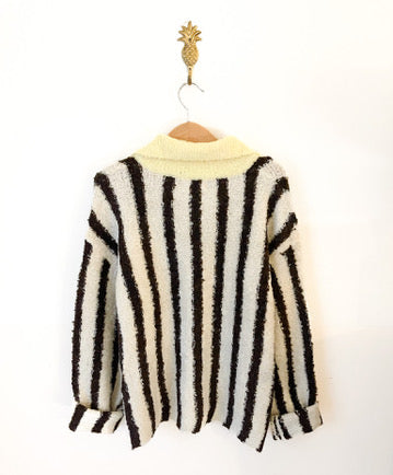 Jersey Eider