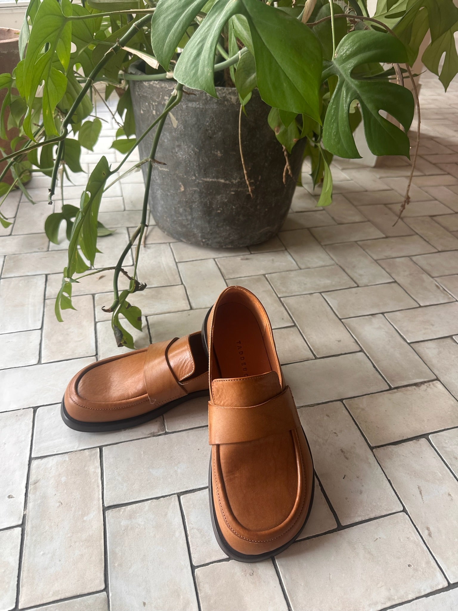 Mocasín Siena